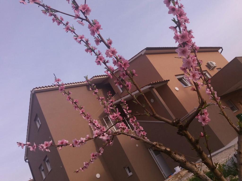 Apartmani B&B Ližnjan Kültér fotó